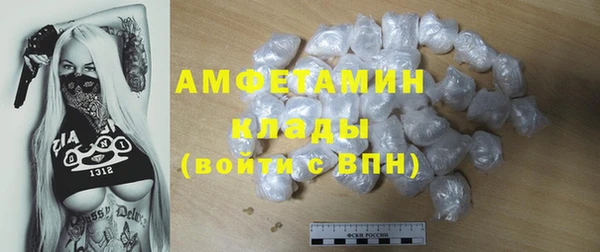 индика Елизово