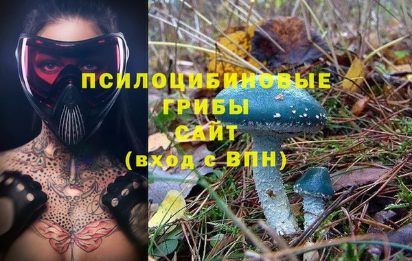 mdpv Елабуга