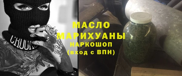 индика Елизово