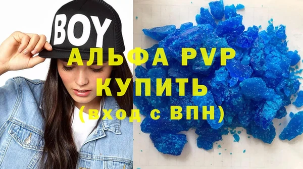 PSILOCYBIN Ельня