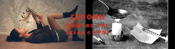 индика Елизово