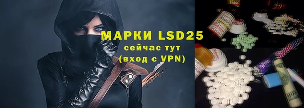 PSILOCYBIN Ельня
