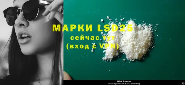 индика Елизово