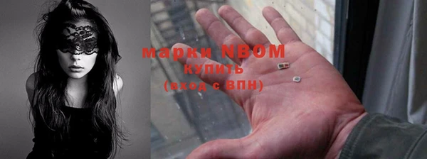 индика Елизово