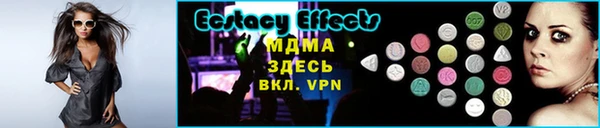 индика Елизово