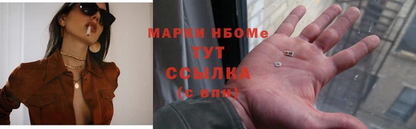 индика Елизово
