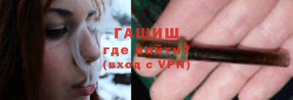 индика Елизово
