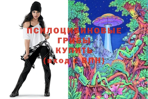 PSILOCYBIN Ельня