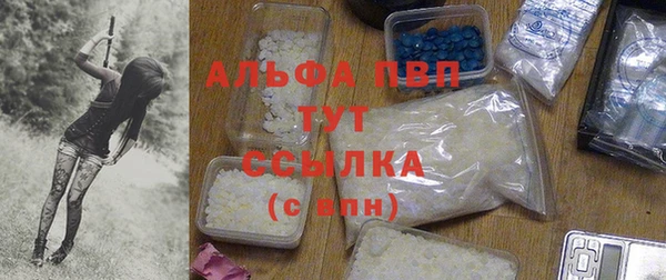 PSILOCYBIN Ельня