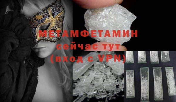 индика Елизово