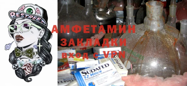 индика Елизово