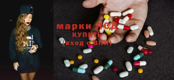 индика Елизово