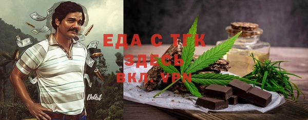 индика Елизово