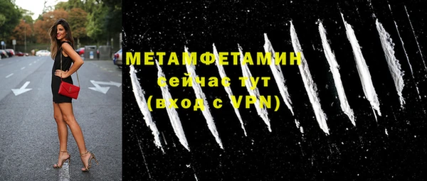 индика Елизово