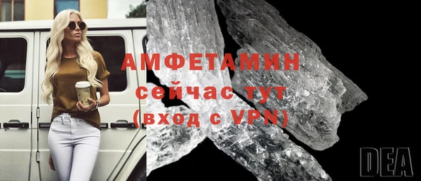 индика Елизово