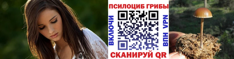 ссылка на мегу ссылка  Саянск  Галлюциногенные грибы Cubensis 