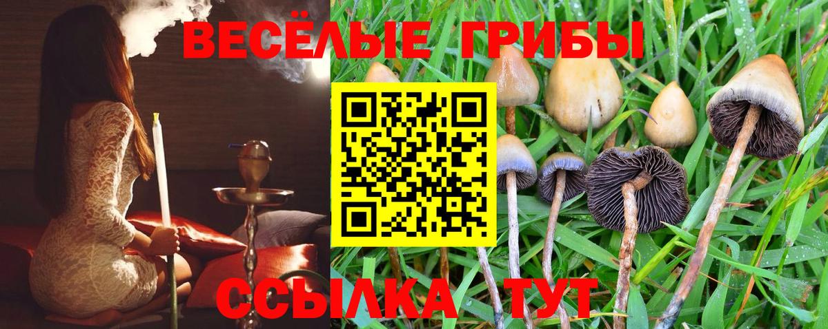 Псилоцибиновые грибы прущие грибы  Вход с VPN  Саянск 